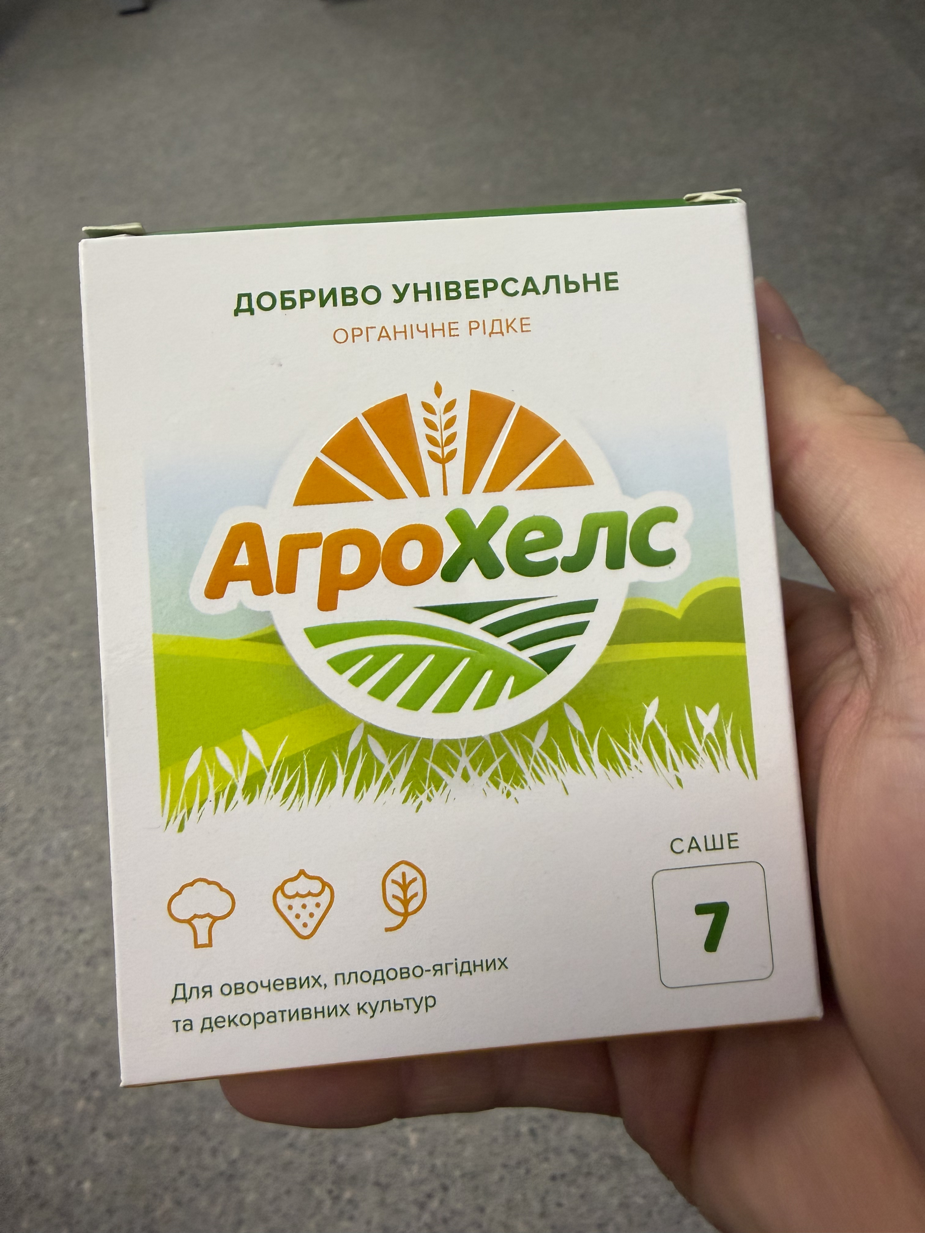 Пересадка помидоров в грунт