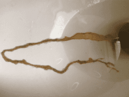 Картинка продукта