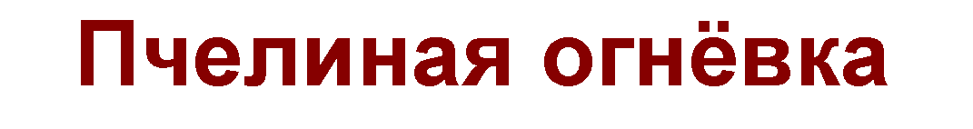 Пчелиная огнёвка