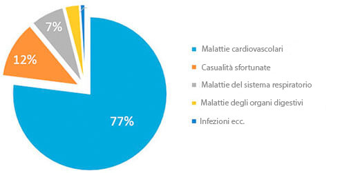 CARDIOLIFE