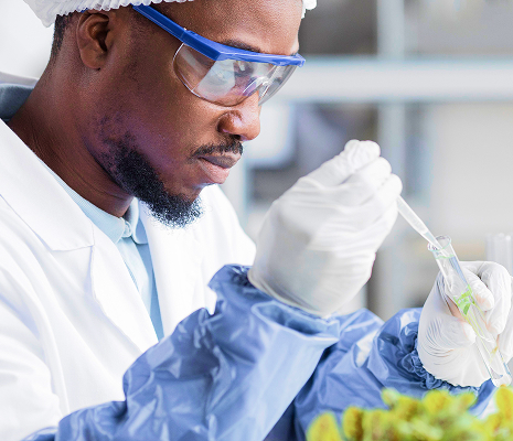 Natural-Based Herbal Ingredients