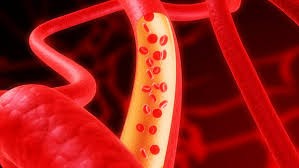 Blood vessels
