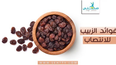 فوائد الزبيب للانتصاب