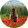 Otilia